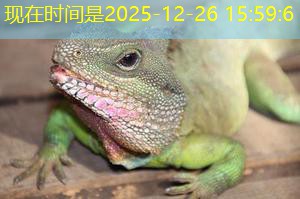 o que servir em festa cassino